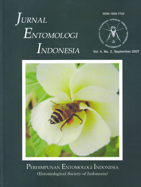 JEI Volume 4 No. 2, September 2007